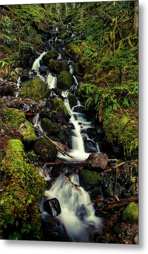 Rainforest Waterfall - Metal Print