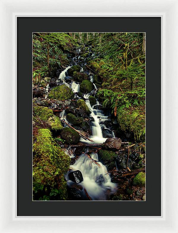 Rainforest Waterfall - Framed Print