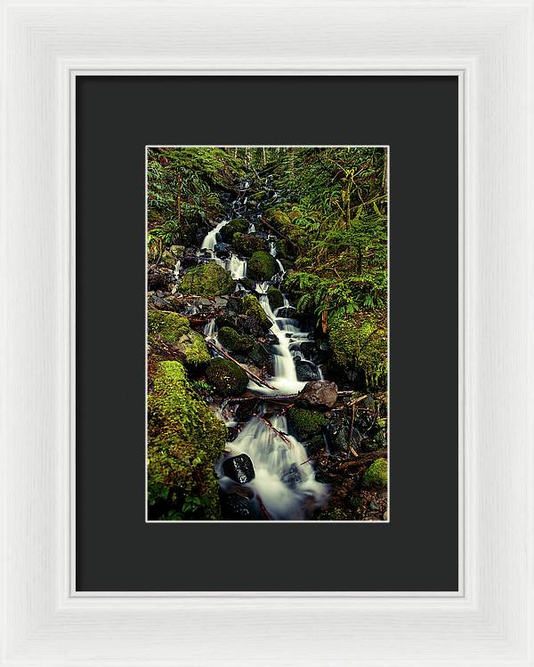 Rainforest Waterfall - Framed Print