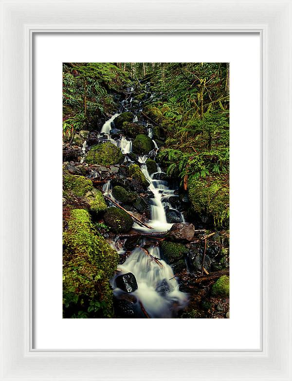 Rainforest Waterfall - Framed Print