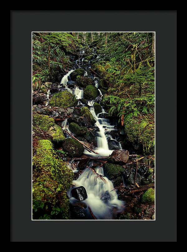 Rainforest Waterfall - Framed Print