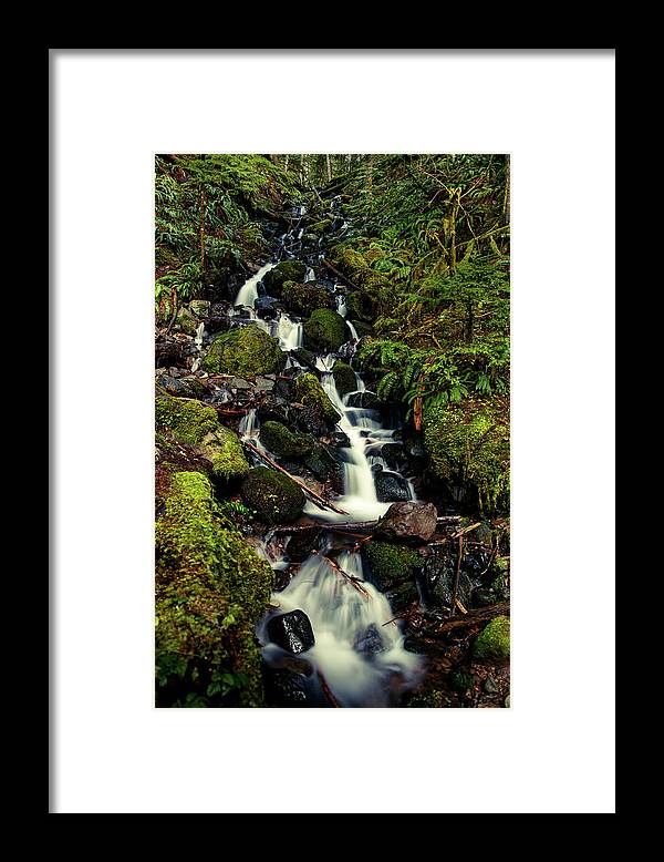 Rainforest Waterfall - Framed Print