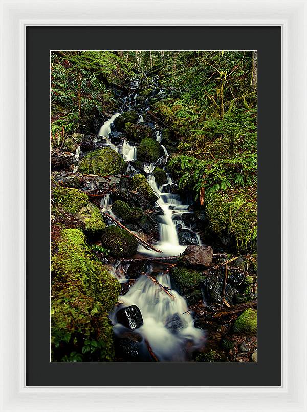 Rainforest Waterfall - Framed Print