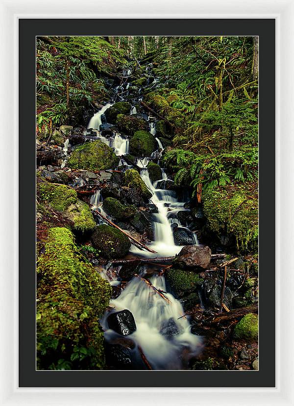 Rainforest Waterfall - Framed Print