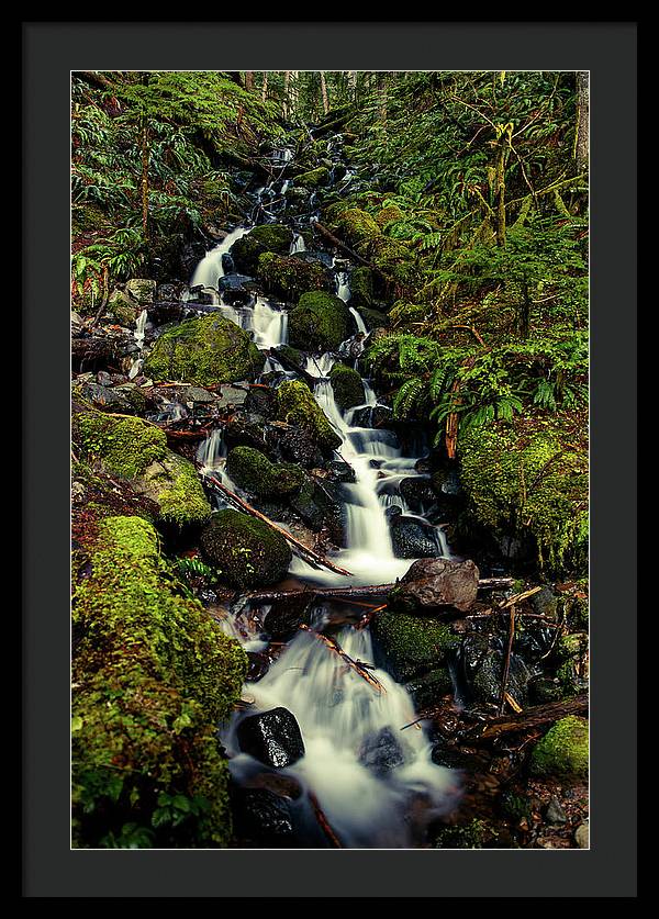 Rainforest Waterfall - Framed Print