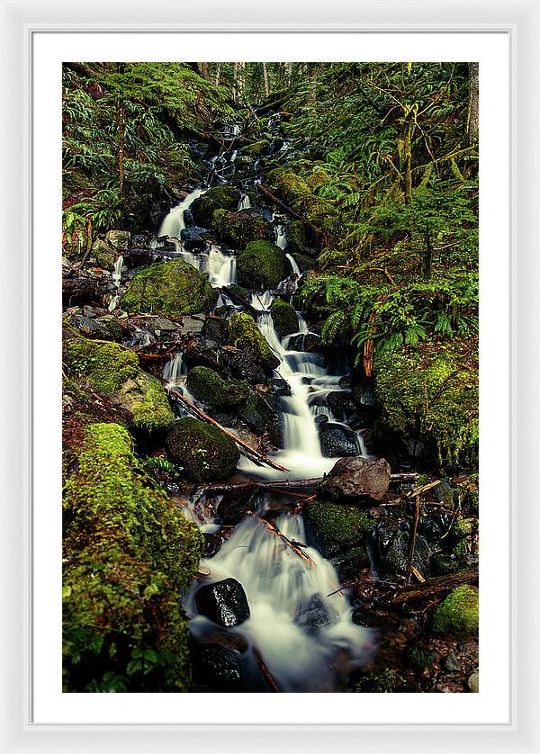 Rainforest Waterfall - Framed Print