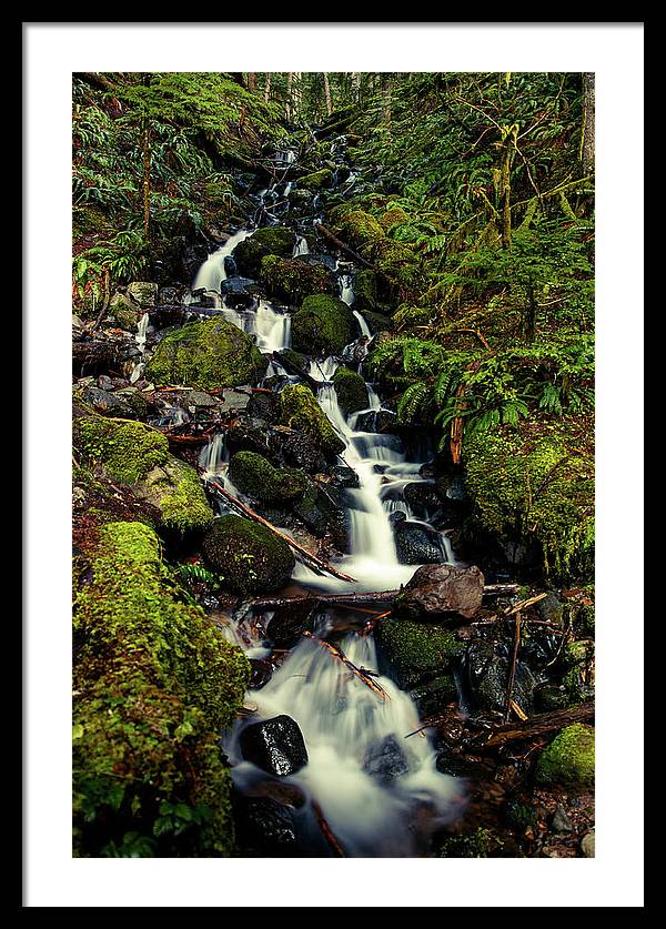 Rainforest Waterfall - Framed Print