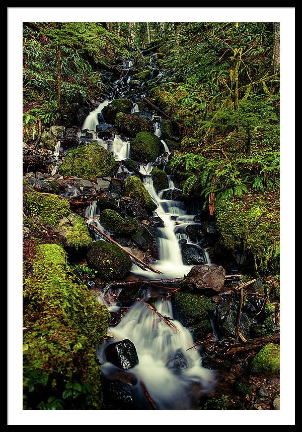 Rainforest Waterfall - Framed Print