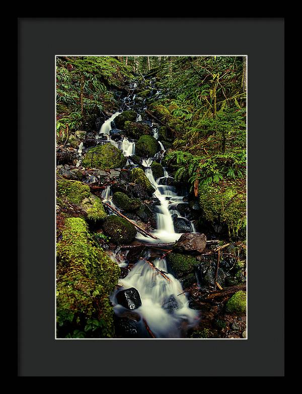 Rainforest Waterfall - Framed Print