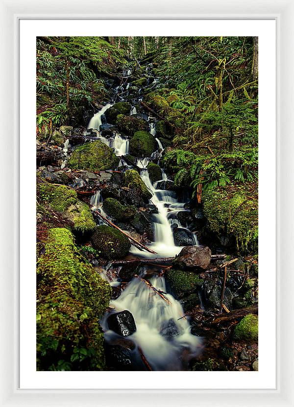 Rainforest Waterfall - Framed Print