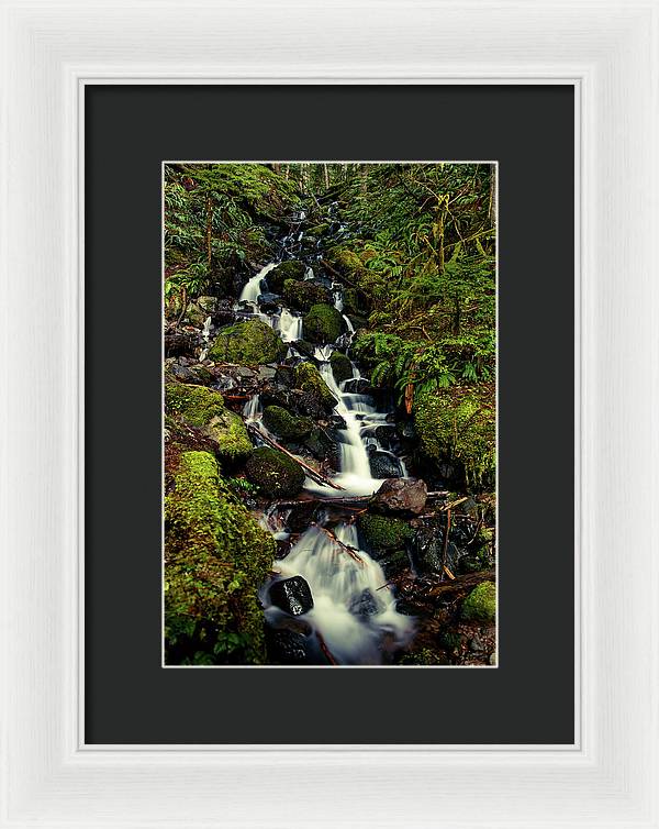 Rainforest Waterfall - Framed Print