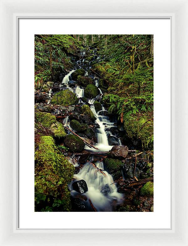 Rainforest Waterfall - Framed Print