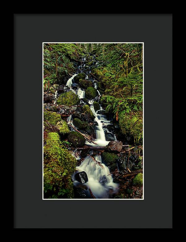 Rainforest Waterfall - Framed Print