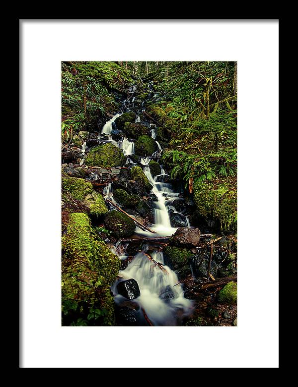 Rainforest Waterfall - Framed Print