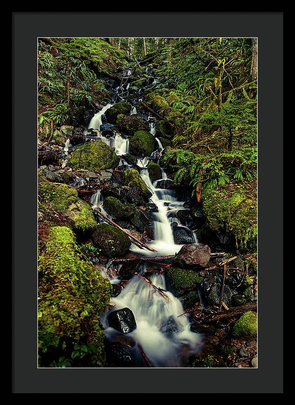 Rainforest Waterfall - Framed Print