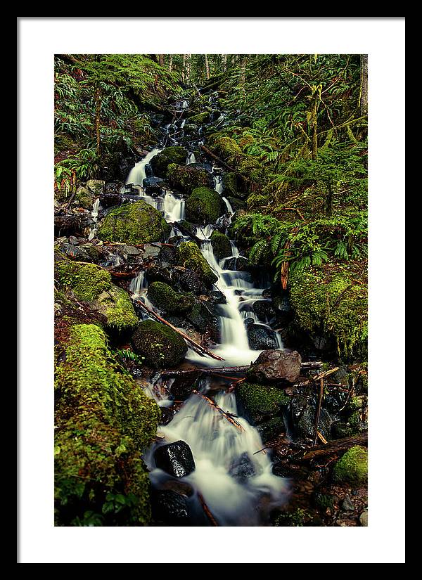 Rainforest Waterfall - Framed Print