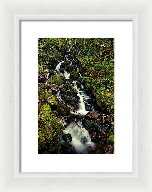 Rainforest Waterfall - Framed Print