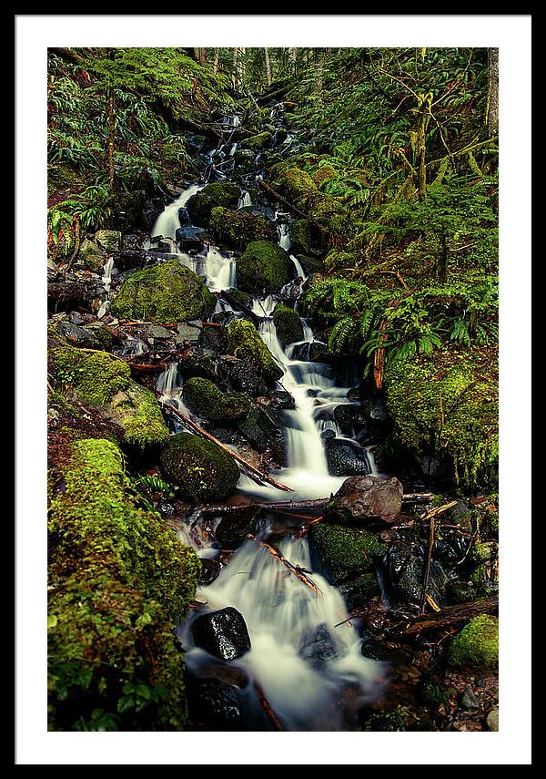 Rainforest Waterfall - Framed Print