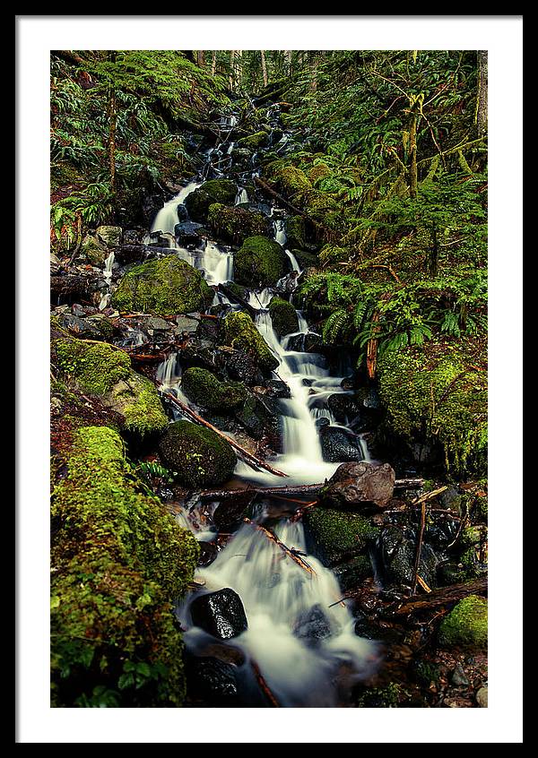 Rainforest Waterfall - Framed Print