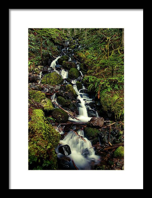 Rainforest Waterfall - Framed Print