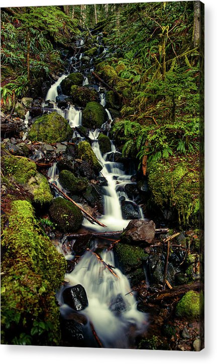 Rainforest Waterfall - Acrylic Print