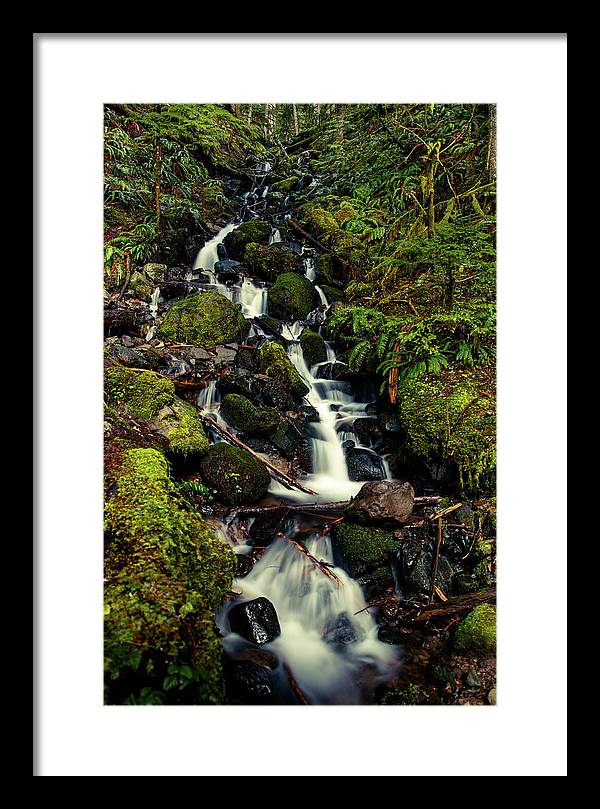 Rainforest Waterfall - Framed Print