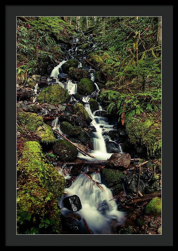 Rainforest Waterfall - Framed Print