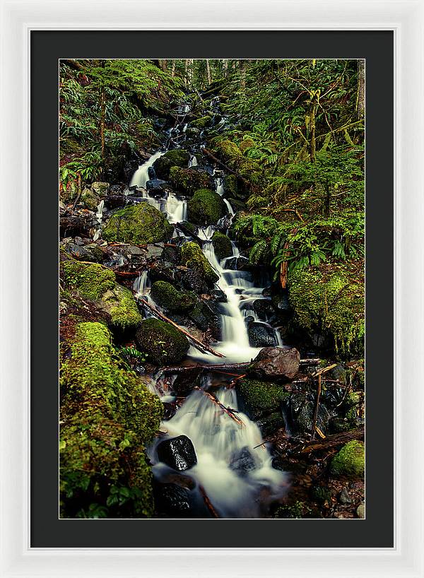 Rainforest Waterfall - Framed Print