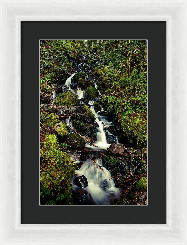 Rainforest Waterfall - Framed Print