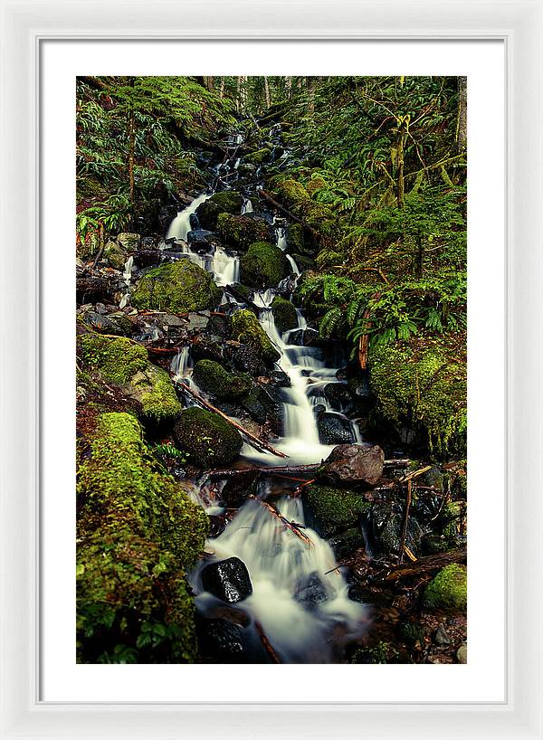 Rainforest Waterfall - Framed Print