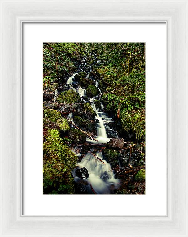 Rainforest Waterfall - Framed Print