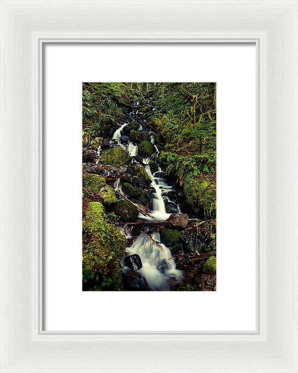 Rainforest Waterfall - Framed Print