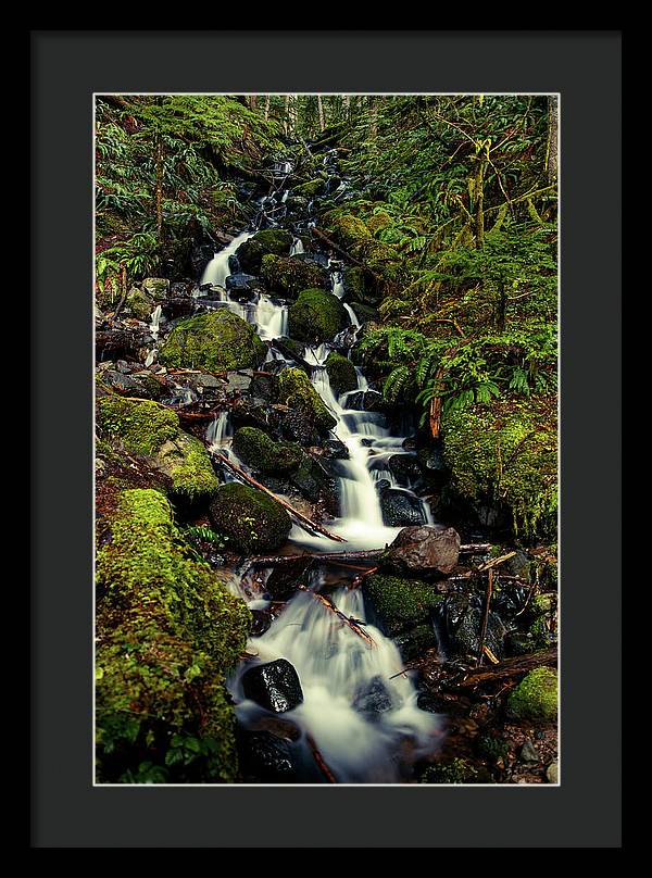 Rainforest Waterfall - Framed Print