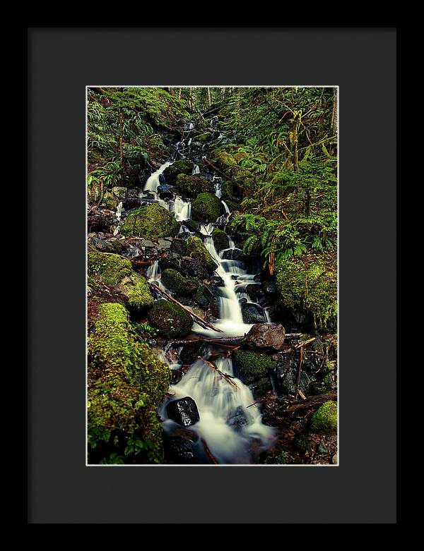 Rainforest Waterfall - Framed Print