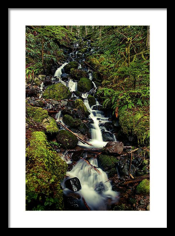 Rainforest Waterfall - Framed Print