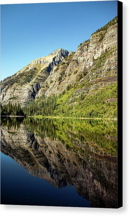 Reflection - Canvas Print