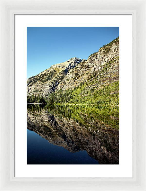 Reflection - Framed Print