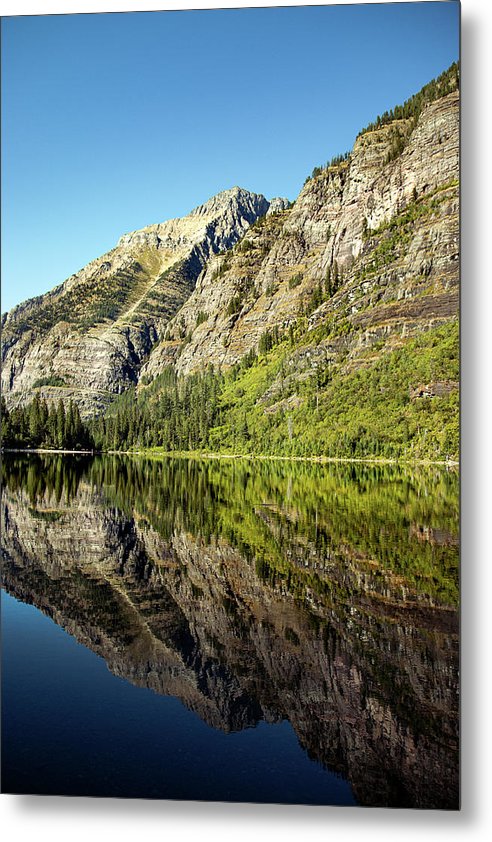 Reflection - Metal Print