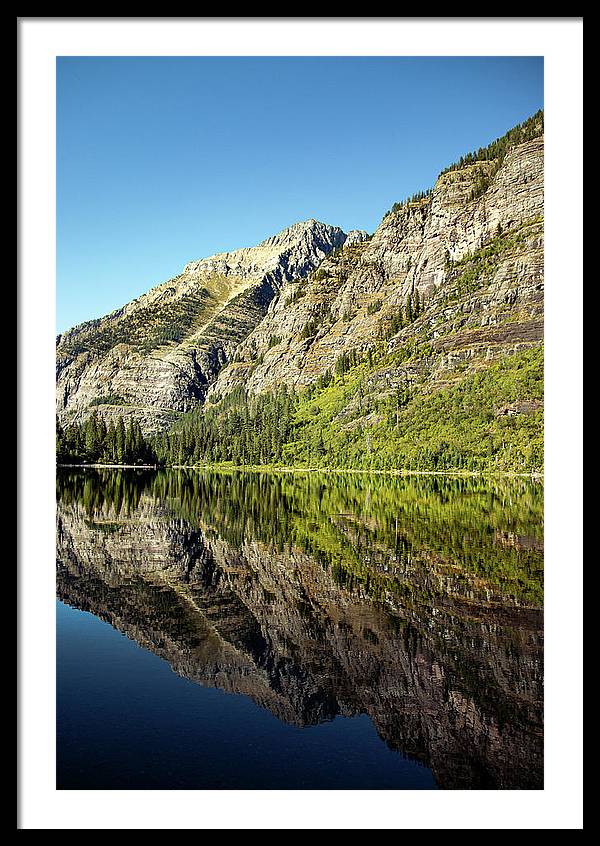 Reflection - Framed Print