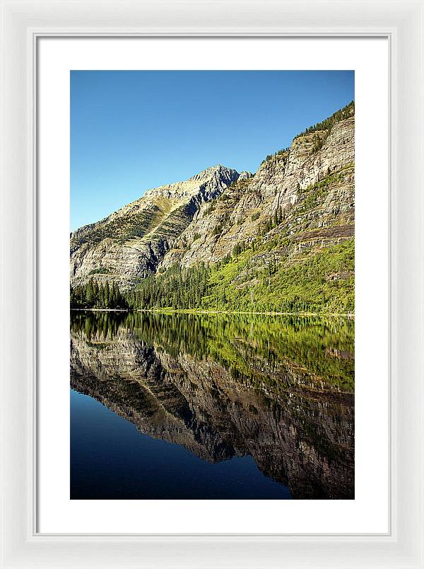 Reflection - Framed Print