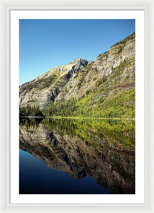 Reflection - Framed Print