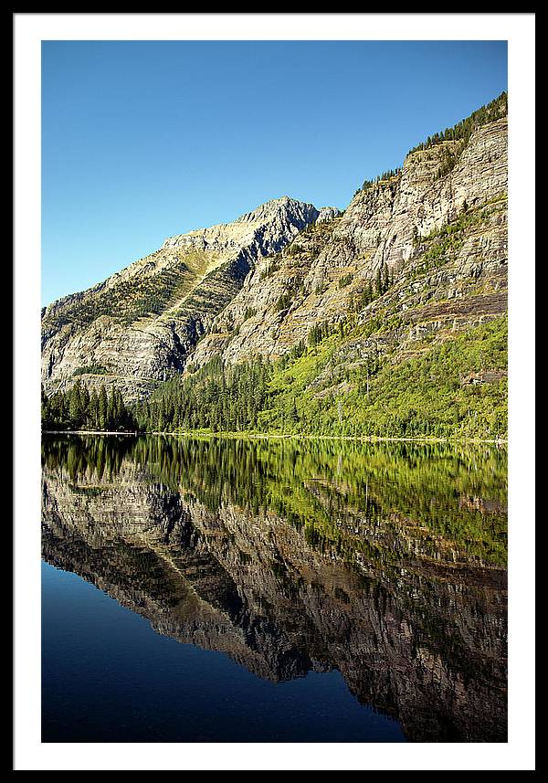 Reflection - Framed Print