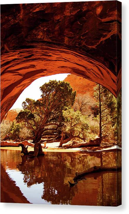 Secret Entrance - Canvas Print