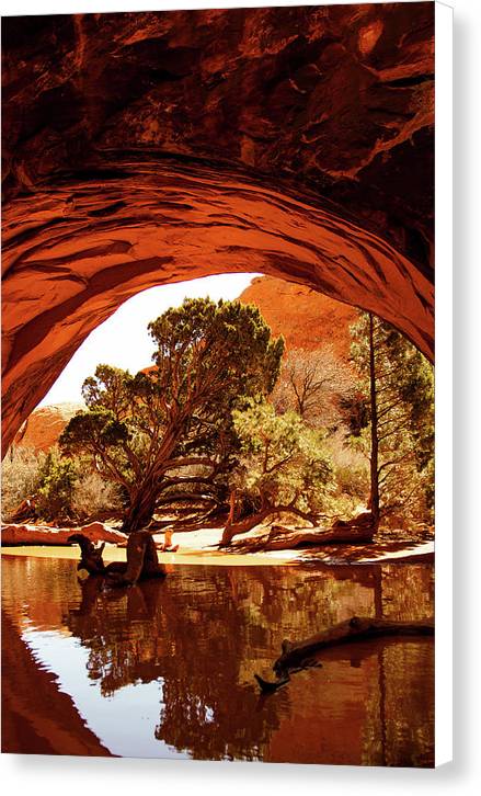 Secret Entrance - Canvas Print