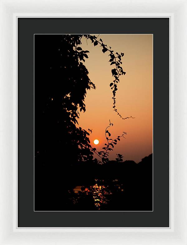 Sexy Vine - Framed Print