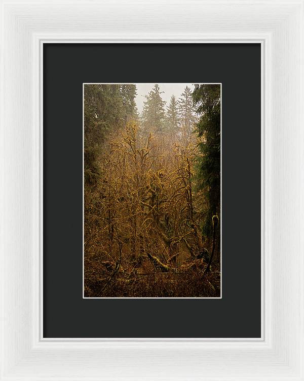 Spooky Forest - Framed Print