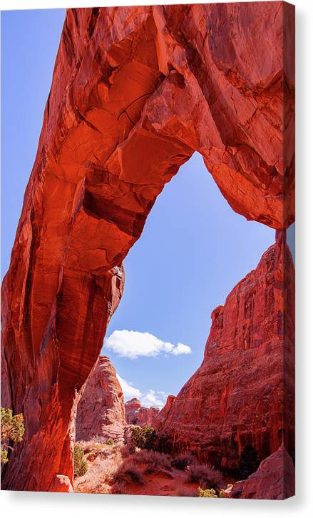 The Arch - Canvas Print