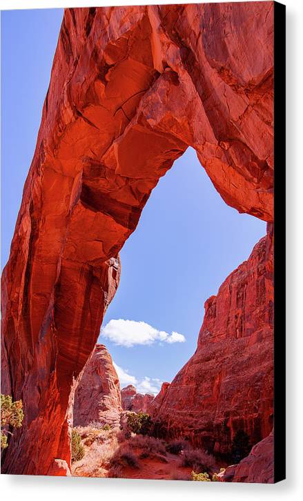 The Arch - Canvas Print