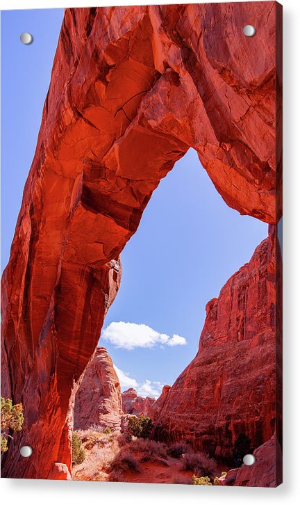 The Arch - Acrylic Print