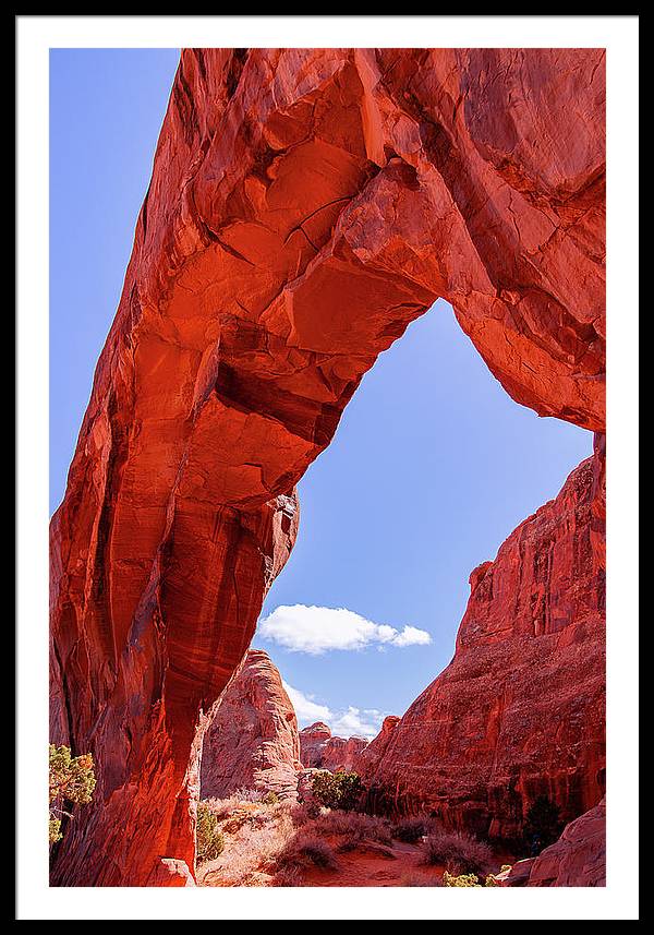 The Arch - Framed Print